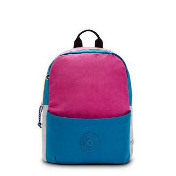 Kipling Sonnie 15" Backpack Laptop Bags Ocean Cactus Flower | AU 1667XY